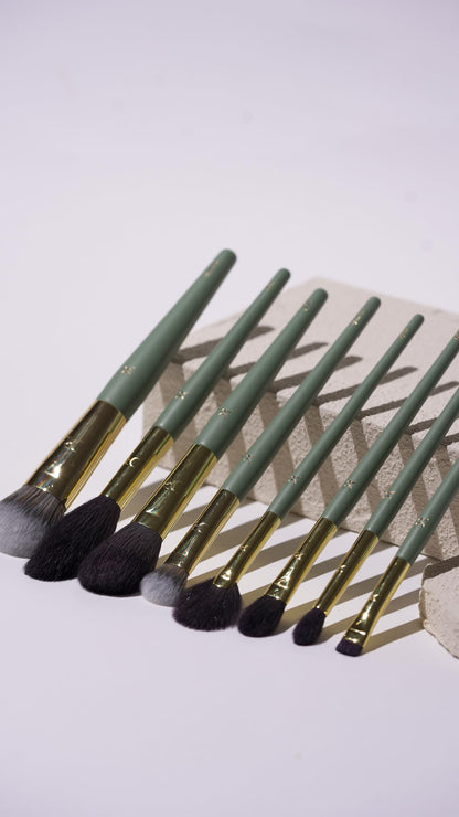 DR Essential Professional Makeup Brush Set