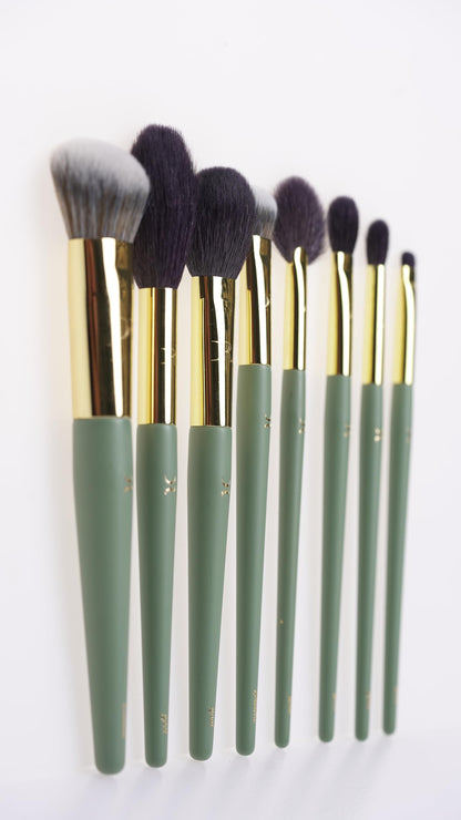 DR Essential Professional Makeup Brush Set