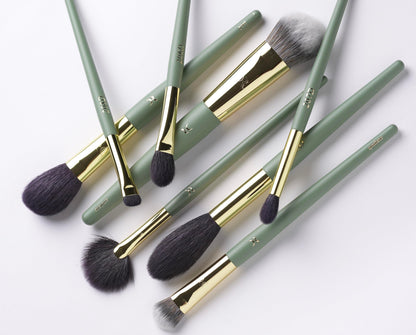 DR Essential Professional Makeup Brush Set